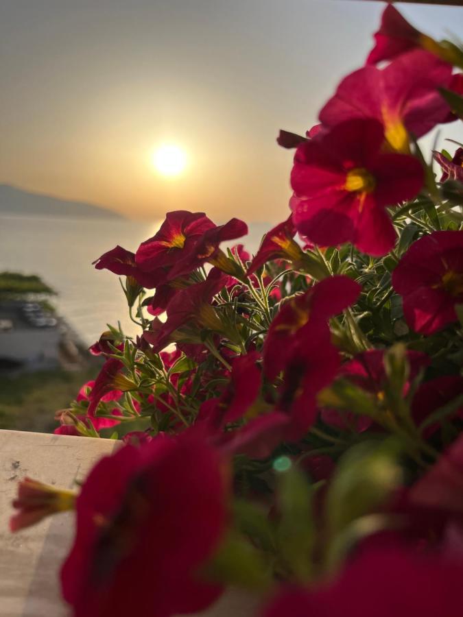 Lotus Apartments فلورا المظهر الخارجي الصورة